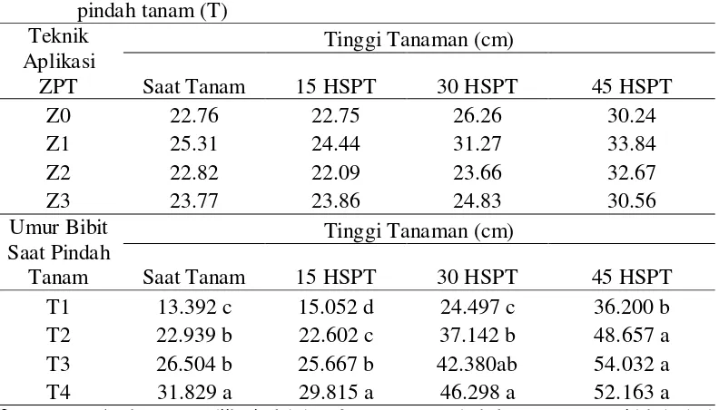 Tabel 3. Rata-rata tinggi tanaman bawang merah pada saat tanam, 15, 30 dan 45 