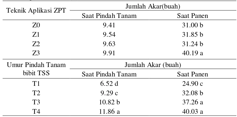 Tabel 5. Rata-rata jumlah akar tanaman bawang merah pada saat pindah tanam dan saat panen akibat perlakuan teknik aplikasi ZPT (Z) dan umur bibit saat pindah tanam (T) 