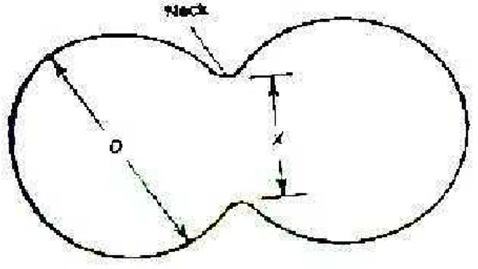 Gambar 8. Neck Pada Proses Sintering  (Siregar, 2008)