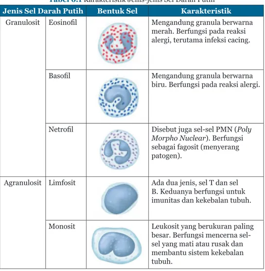 Tabel 6.1  Karakteristik Jenis-jenis Sel Darah Putih