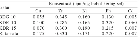 Tabel 1. Jumlah logam berat (ppm) yang diakumulasi galur uji selama15 menit dengan kontrol selular dan kontrol aselular