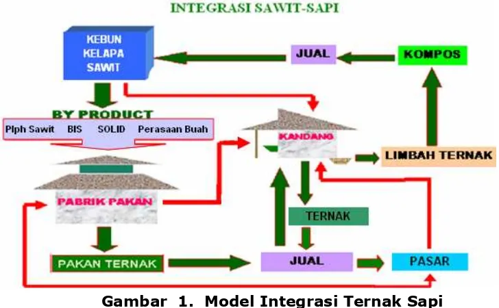 Gambar  1.  Model Integrasi Ternak Sapi 