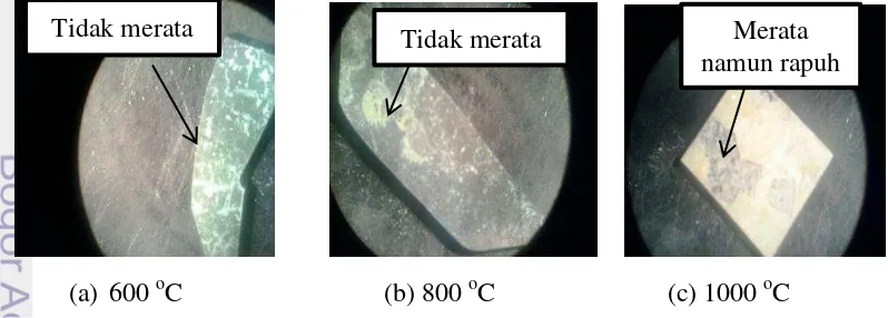 Gambar 6 Pelapisan paduan CoCrMo-TiN pada variasi suhu selama 2 jam 