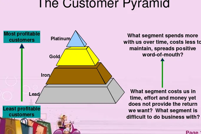 Figure 7.5 The Customer Pyramid 
