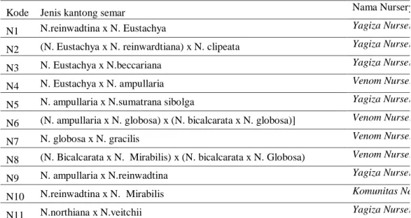 Tabel 1. Daftar hybrid kantong semar yang dikarakterisasi secara morfologi  