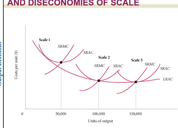 FIGURE 9.5 A Firm Exhibiting Economies of Scale 