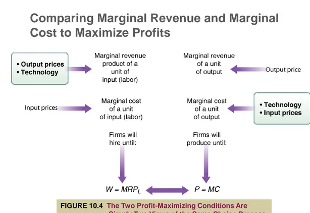 FIGURE 10.4  The Two Profit-Maximizing Conditions Are Simply Two Views of the Same Choice Process 