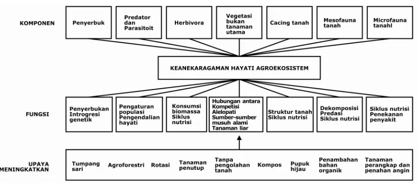 Gambar 2. Komponen, fungsi, dan strategi meningkatkan keanekaragaman hayati dalam agroekosistem (Sumber: Altieri, 1999)  
