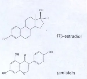 Gambar1. Struktur Genistein dan 17ß -estradiol 