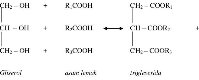 Gambar 2.1.Pembentukan trigliserida oleh asam lemak. 