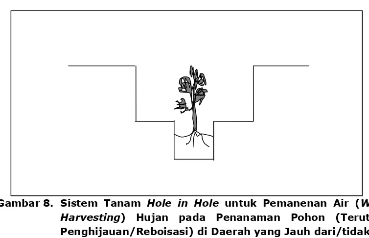 Gambar 8. Sistem Tanam Hole in Hole untuk Pemanenan Air (Water 