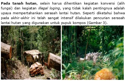 Gambar 3. Kegiatan Penebangan Hutan (Kiri) dan Pencurian Serasah Lantai Hutan (Kanan), Sama-Sama Menyebabkan Hutan Kehilangan Fungsi Hidrologis dalam Menahan Air Sebanyak Mungkin pada Musim Hujan 