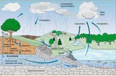 Gambar 6.   Proses dari siklus hidrologi di bumi (Anonim, 2012). 