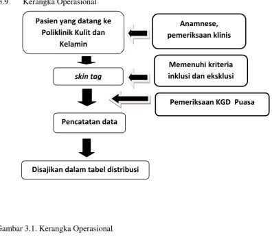 Gambar 3.1. Kerangka Operasional  