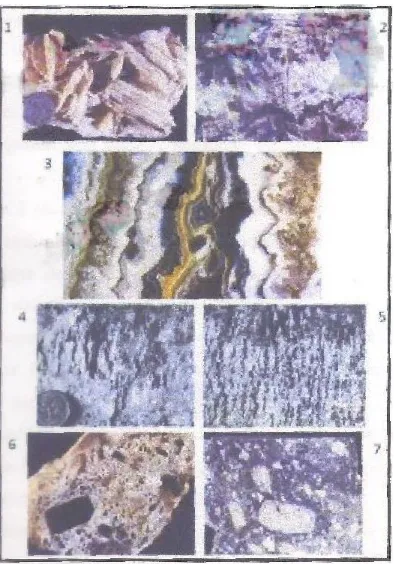 Gambar 1 merupakan indikasi umum dari boiling pada low sulfidasi (lattice-bladed)Gambar 2 bandingGambar 3 cavity filling oleh crustiform quartzGambar 4,5 silica sinterGambar 6,7 masive dan vuggy pada high sulfidasi