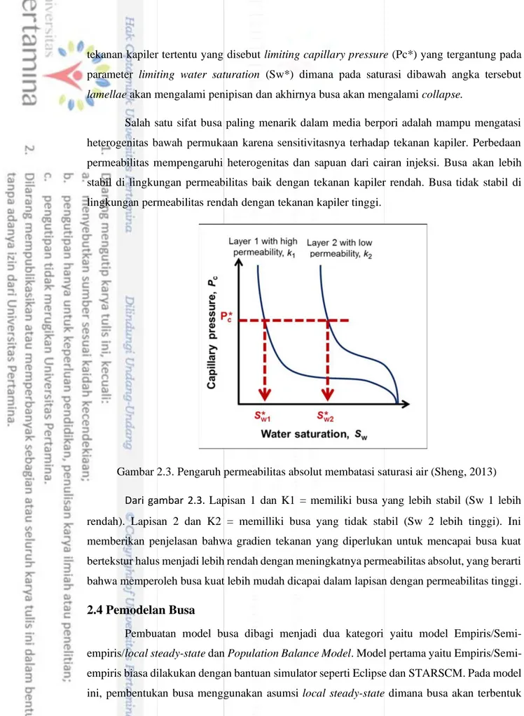 Gambar 2.3. Pengaruh permeabilitas absolut membatasi saturasi air (Sheng, 2013)     Dari gambar 2.3