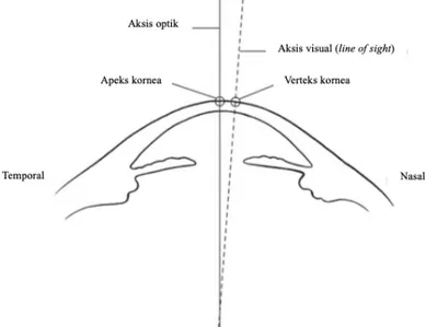 Gambar 2.2 Apeks dan verteks kornea                                  Dikutip dari : Weisenthal RW, dkk 3