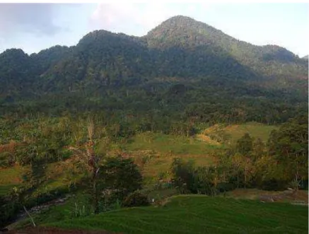 Gambar 5.10  Gunung Batu Tilu 