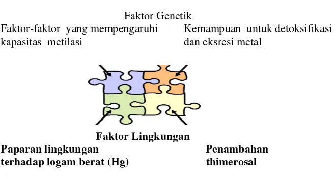 Gambar. 2.1.  Kombinasi faktor genetik dan lingkungan menyebabkan autisme                         (Deth, 2012) 