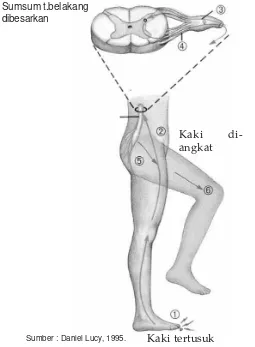 gambar tersebut, kaki yang tertusuk kemudian