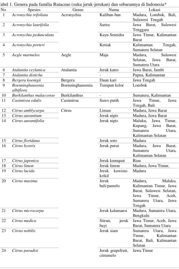 Tabel 1. Genera pada familia Rutaceae (suku jeruk-jerukan) dan sebarannya di Indonesia*  