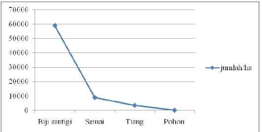 Gambar 3. Poligon jumlah santigi dan deposit biji/ha di CA Maubesi. 