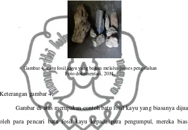 Gambar 4: Batu fosil kayu yang belum melalui proses pengolahan 