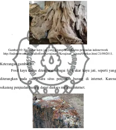 Gambar 10: Fosil akar kayu jati yang ditampilkan di situs penjualan indonetwork  