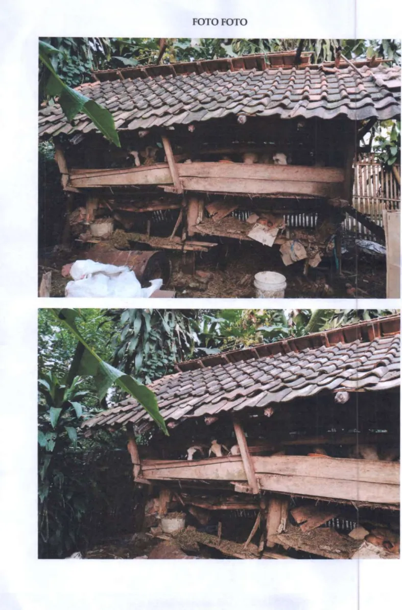 FOTO FOTO