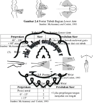 Gambar 2.4 Postur Tubuh Bagian Lower Arm 