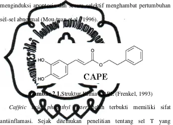 Gambar 2.1.Struktur Kimia CAPE (Frenkel, 1993) 