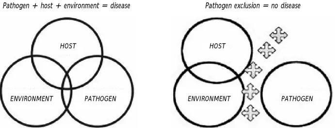 Gambar 3. Interaksi antara ikan, jasad patogen, dan lingkungan penyebab penyakit  (Sumber: Liu, APO Meeting Taiwan,  2009)