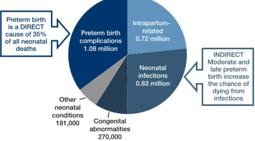 Figure 2.1: Estimated distribution of causes of 3.1 million neonatal deaths in 193 countries in 2010