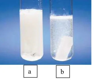Gambar 2.1. Reaksi Kimiapada tabung a: serbuk batu gamping(batu gamping dengan larutan HCl)   pada tabung b: kepingan batu gamping