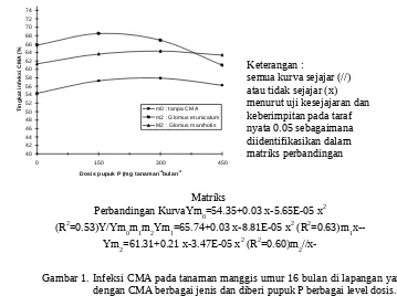 Gambar 1. Infeksi CMA pada tanaman manggis umur 16 bulan di lapangan yang diinokulasi dengan CMA berbagai jenis dan diberi pupuk P berbagai level dosis.