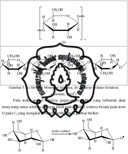 Gambar 5. (a) Struktur Monomer Selulosa, (b) Struktur Polimer Selulosa 