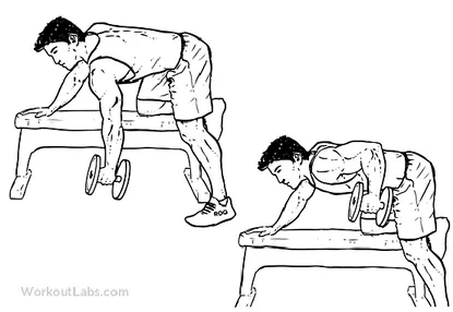 Gambar 6 One Arm Dumbbell Rows  Sumber : WourkoutLab.com 