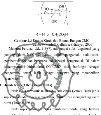 Gambar 2.4commit to user  Buah Jeruk Nipis (Sarwono, 1999) 