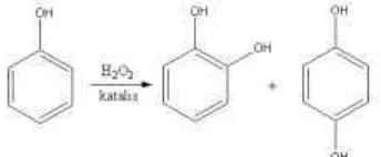 Gambar 2.2 Reaksi oksidasi fenol (Pongoma, 2010) 