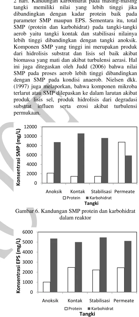 Gambar 6. Kandungan SMP protein dan karbohidrat 