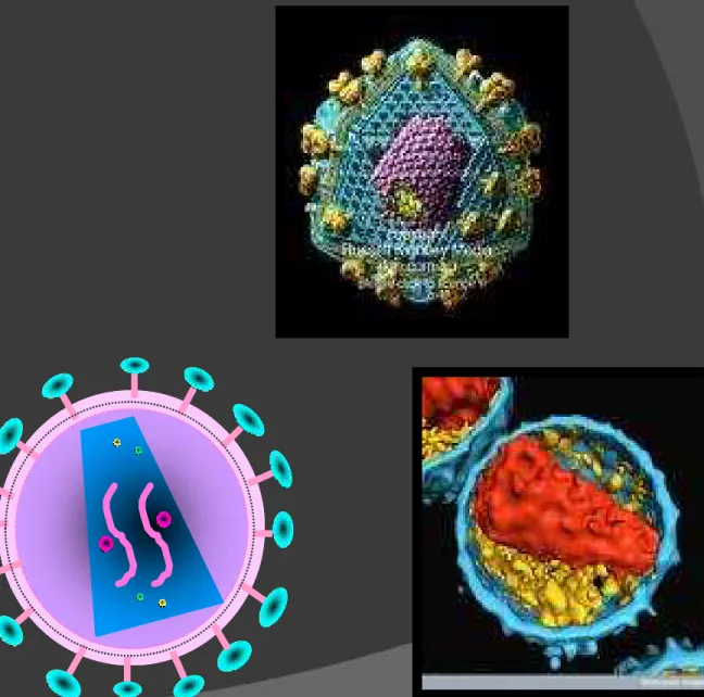 Gambar virus HIV