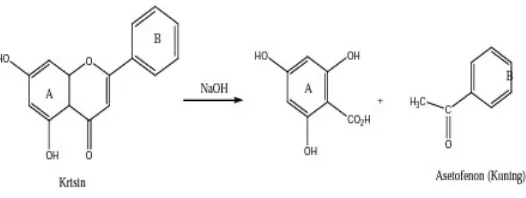 Gambar 7. Reaksi Senyawa Flavonoid dengan Pereaksi NaOH