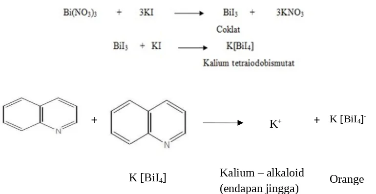Gambar 8. Reaksi Senyawa Alkaloid dengan Pereaksi Dragendroff