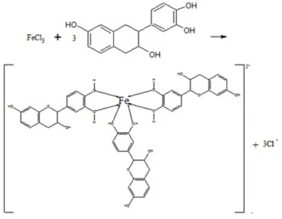 Gambar 9. Reaksi antara Tanin dan FeCl3