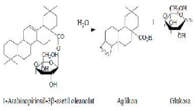 Gambar 10. Reaksi Hidrolisis Saponin dalam Air