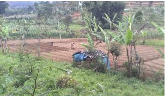 Gambar 1: Kondisi Lingkungan Desa Tlahap (Sumber Dokumentasi Pribadi) 