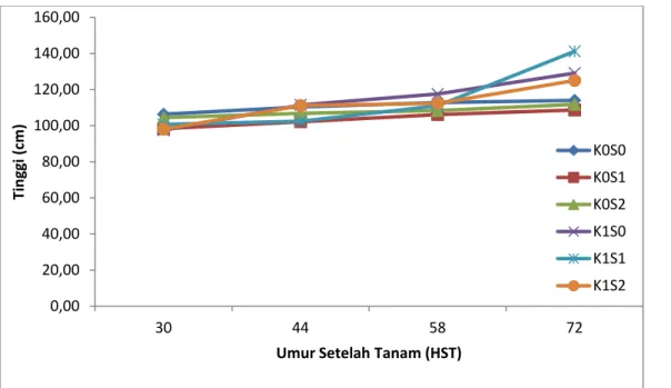 Gambar  1.  Pengaruh  Kombinasi  Kapur  Dolomit  dan  SP  36  Terhadap  Tinggi      Tanaman  Mulai  Umur 30 sampai 72 HST 