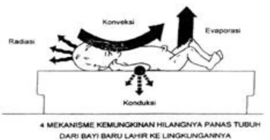 Gambar 1.1 : Mekanisme kehilangan panas pada bayi baru lahir