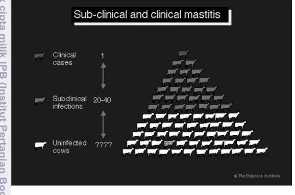 Gambar 1 Fenomena gunung es kasus mastitis subklinis (McGill University 2012) 