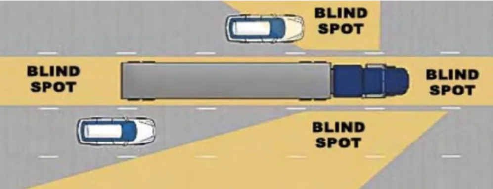 Figure 1.1 shows that human eye blind spot, the area where the optic nerve  connected to the retina in the black of each eye is known as the optic disk